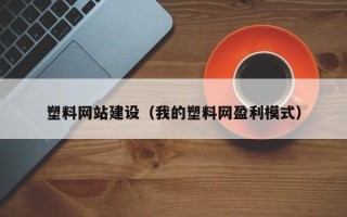巢湖塑料网站建设（我的塑料网盈利模式）
